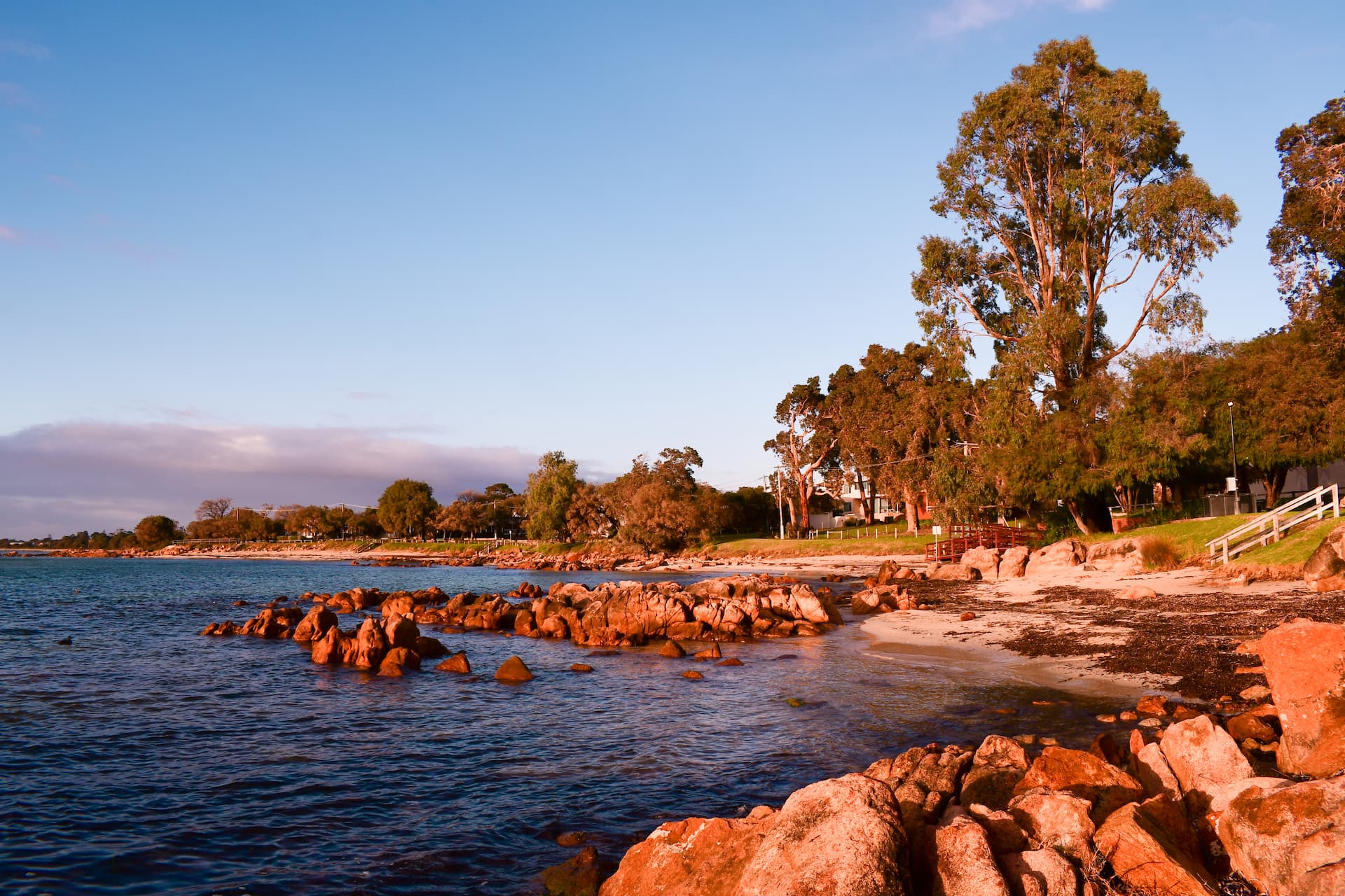 A rocky orange coastline with clear blue water and tall green trees